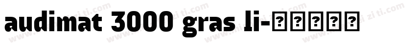 audimat 3000 gras li字体转换
